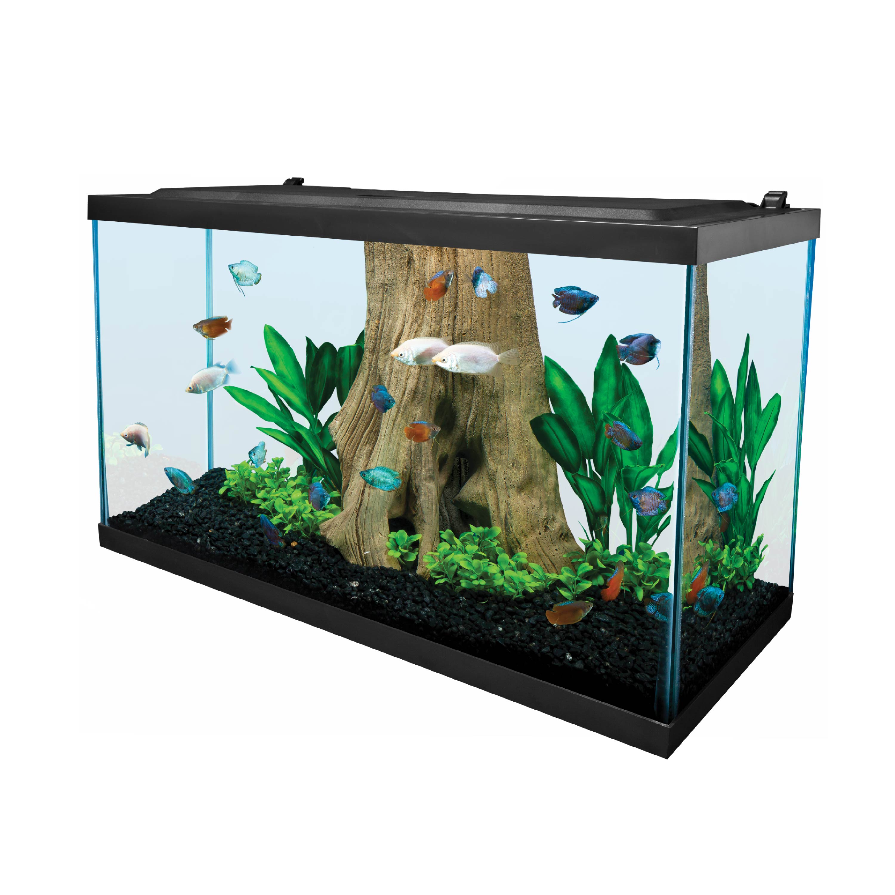 Complete LED Aquarium Kit 29 29 Gal Tetra